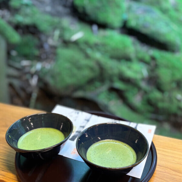 明日はいるよ!