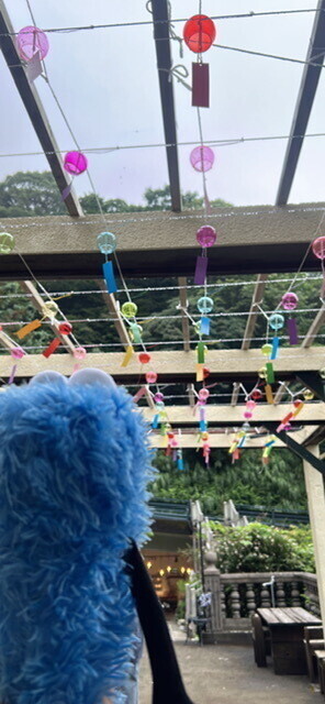 image0.jpeg