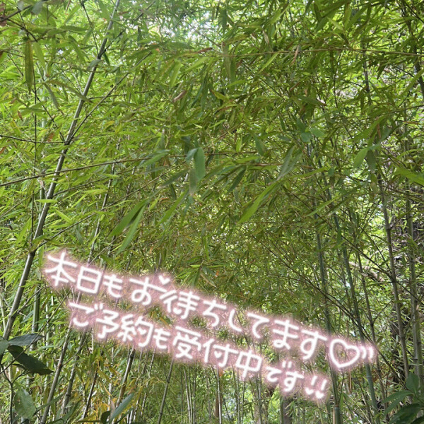 みどりってすごい