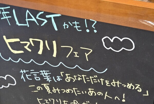 (=゜ω゜=)