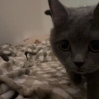 にこ