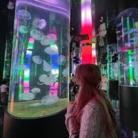 かのこ