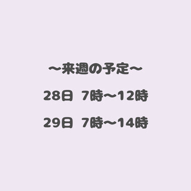 20250821_120040_b00448ab2c87e470edc33d1cf1f8cd70.jpeg