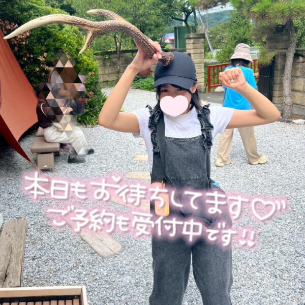 しかのこのこのこ