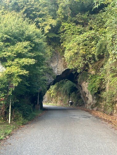 20251114_062325_77cb0ba41a00973422e6b7a4