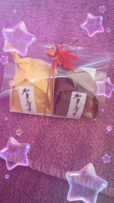 20251126_095005_8d17829dfa197e83a9a14812