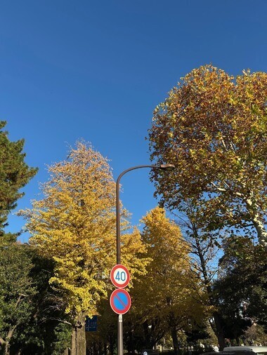 20251201_062300_5110ec8c875898e32bcd88a9