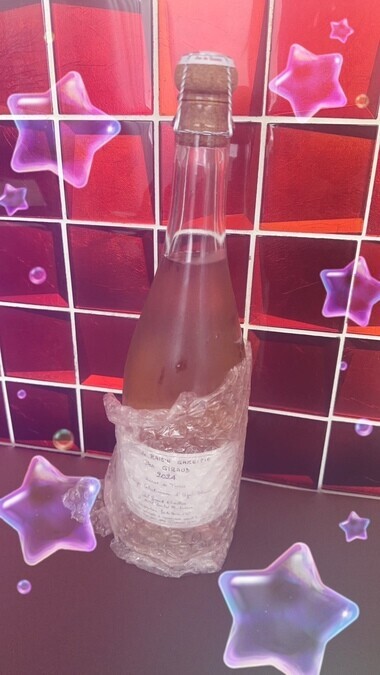 20260105_222737_893e6788d6d02956d24591f9