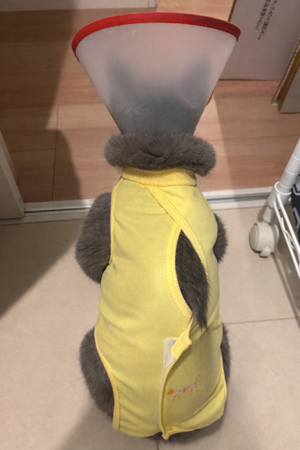 にやにや(??ω??)