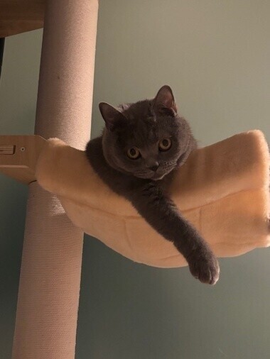 20260311_233454_7e12549a72c81ce13d5bcc9b