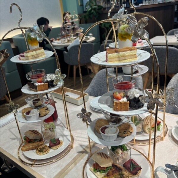 こんばんは・:*+.(( °ω° ))/.:+