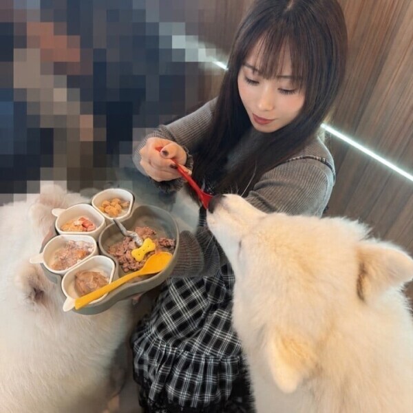 (∪・ω・)ワンッ