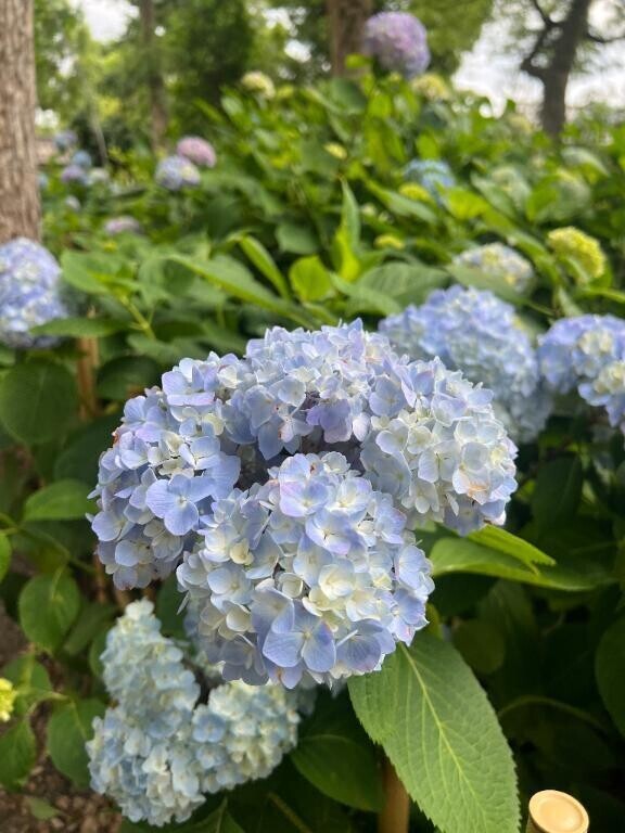 おはようございます☀️