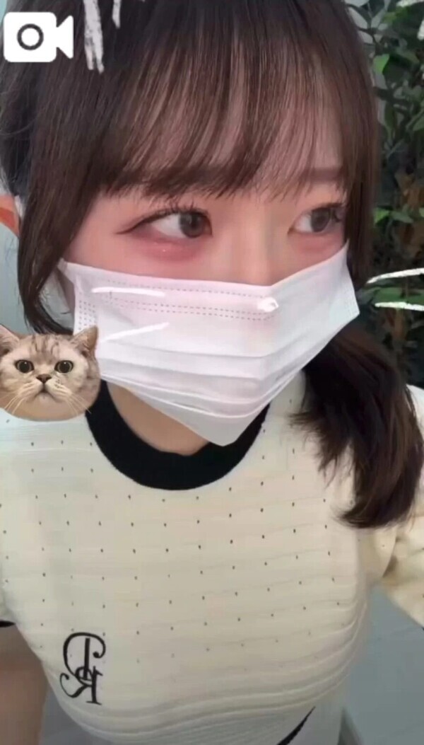 猫さん動画どうかな？🐱💓今日は会いたい気分🎀