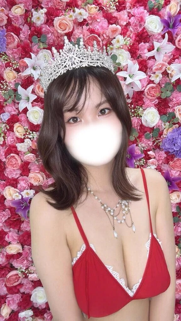 🐱おすすめコース🧡