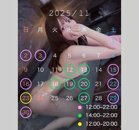 🤍 【完全版】11月の予定表🗒️♡