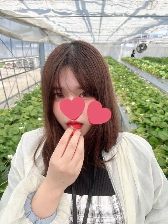 💛🈵本日受付終了です❣️