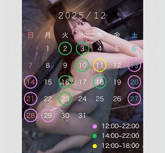 🤍 【最新】12月の予定表🗒️♡