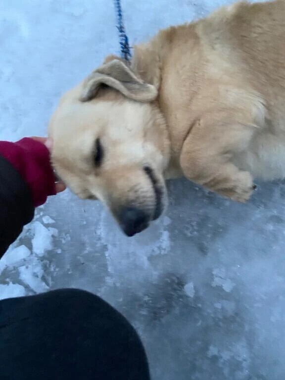 お礼日記❣️❣️会いに来てくれてありがとう♡