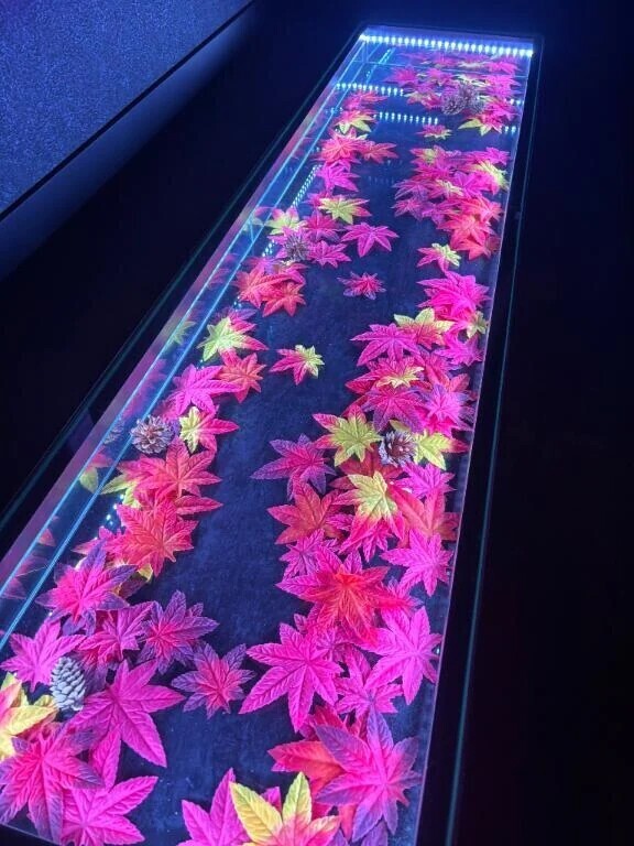 超綺麗✨