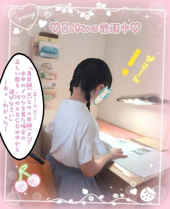 [お題]from:猫動画に連打さん