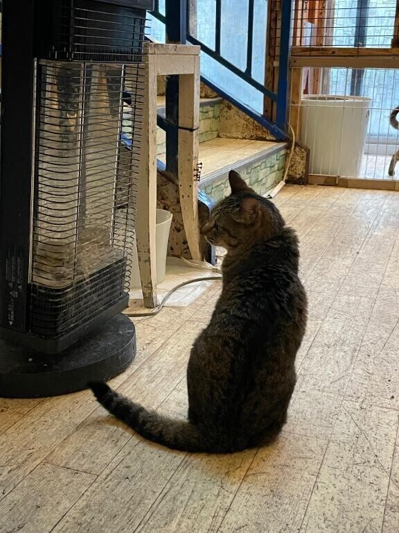 この後??