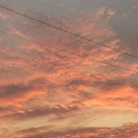 はずき