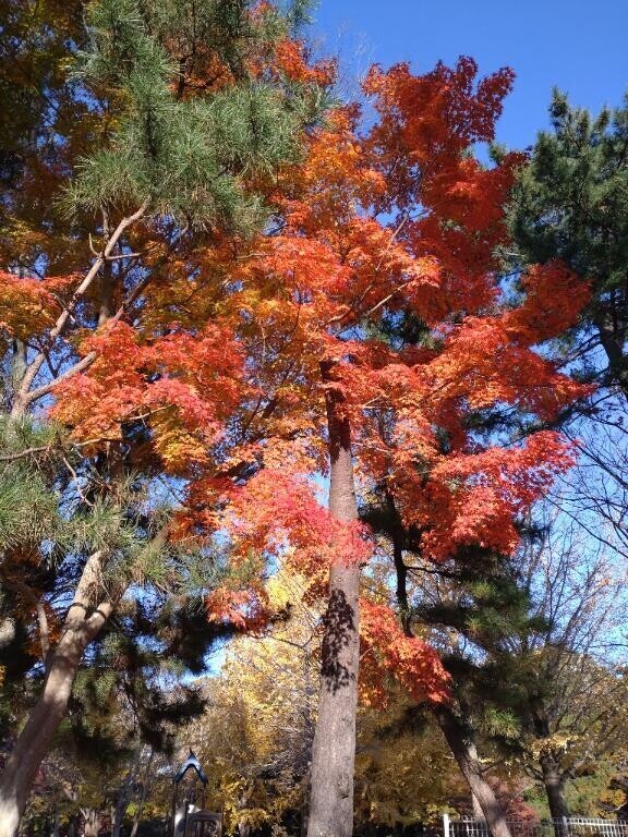 どうなった