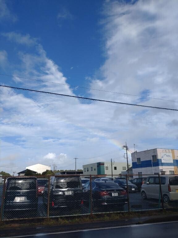 虹
