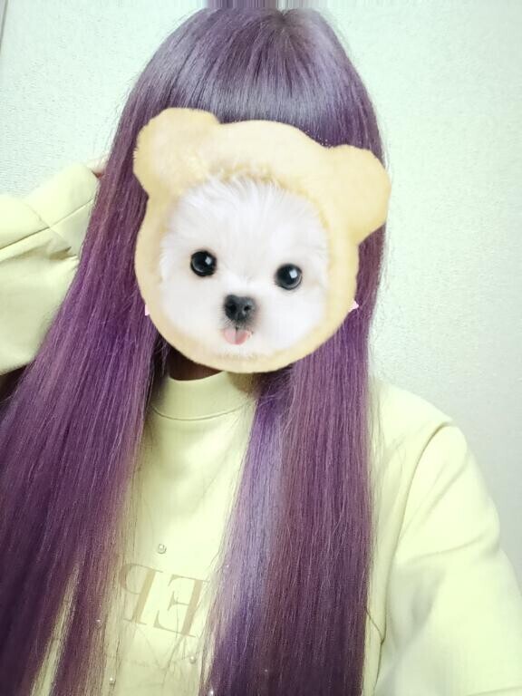 寝る前だから。