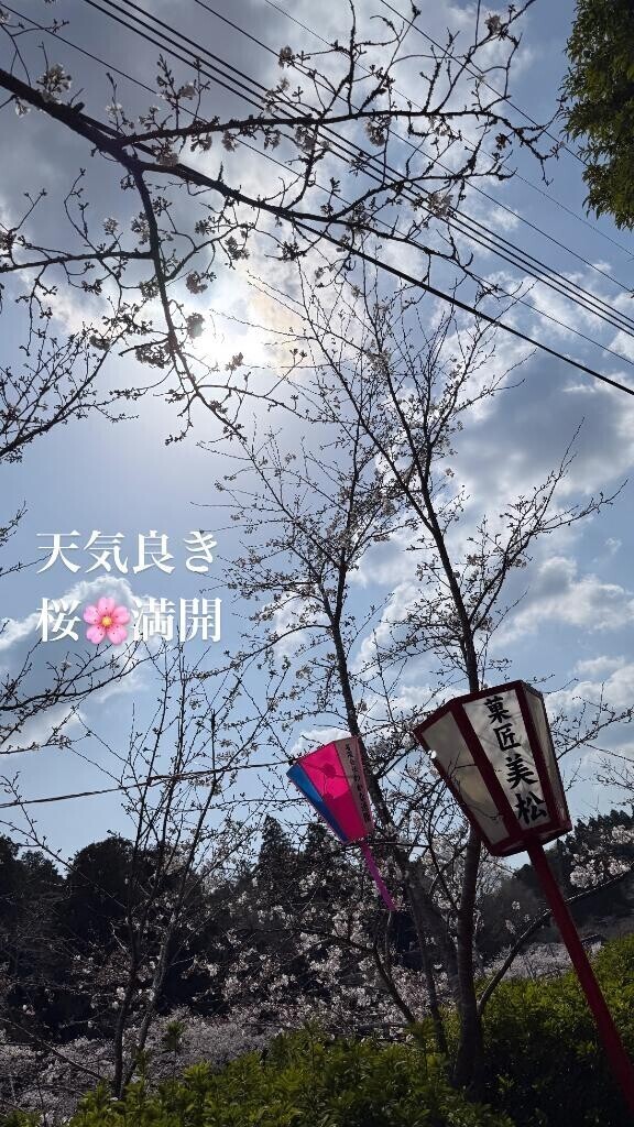 ありがとう?
