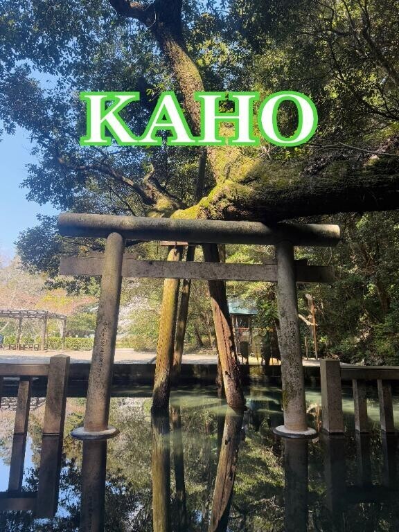 やっぱり。