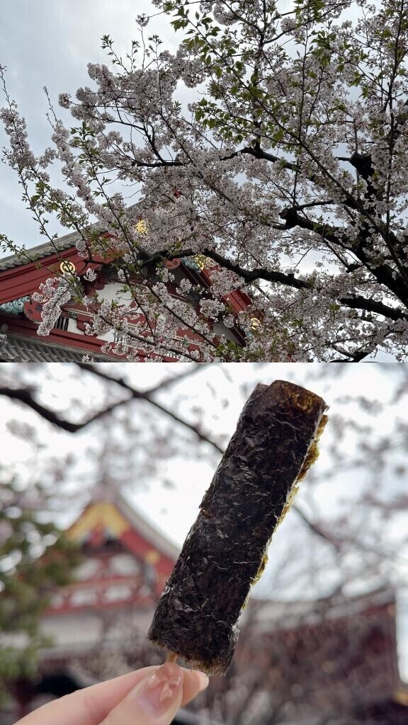 お花もお団子も??