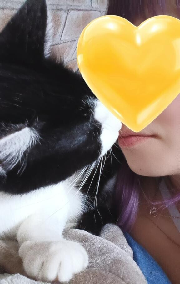おはよう?