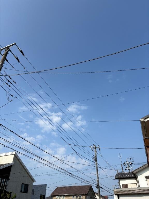 今日のお天気変でしたね?はれ