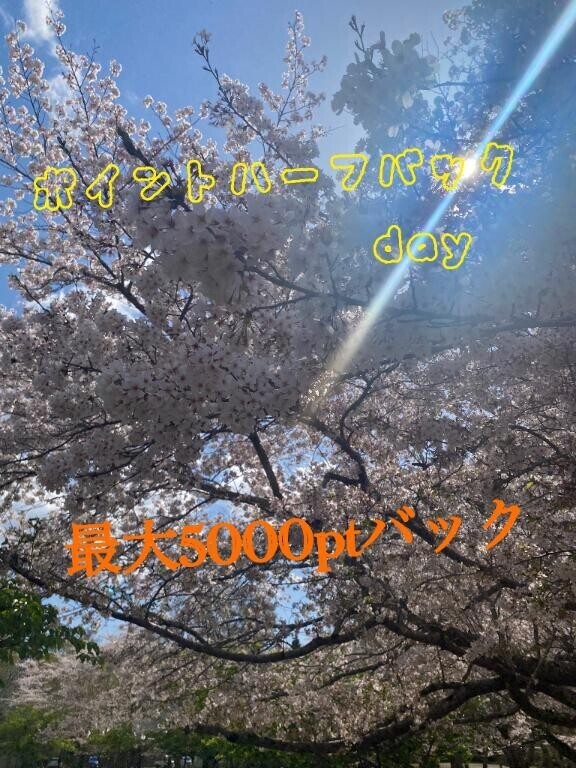 今日のイベ???