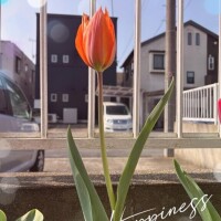 つぐみ