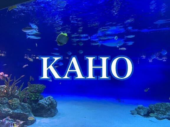 だうん。
