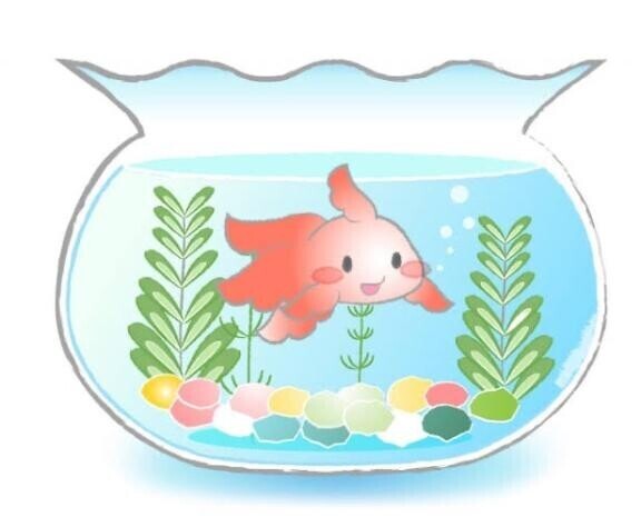 金魚が記憶出来る時間は3秒???