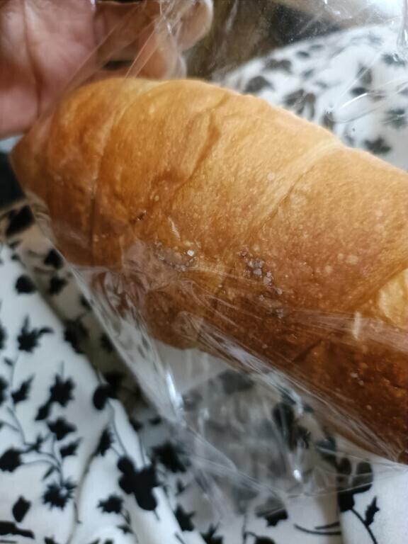 FW本指名様?