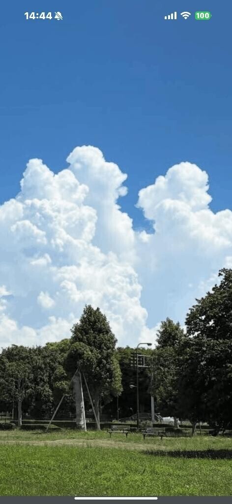 今日も曇り空??
