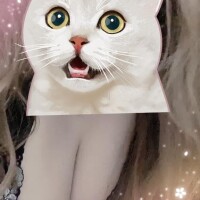 かれん