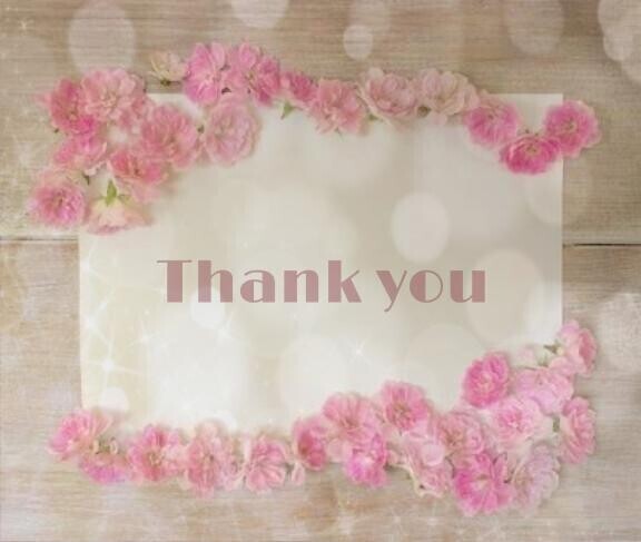 27日?Thank you diary