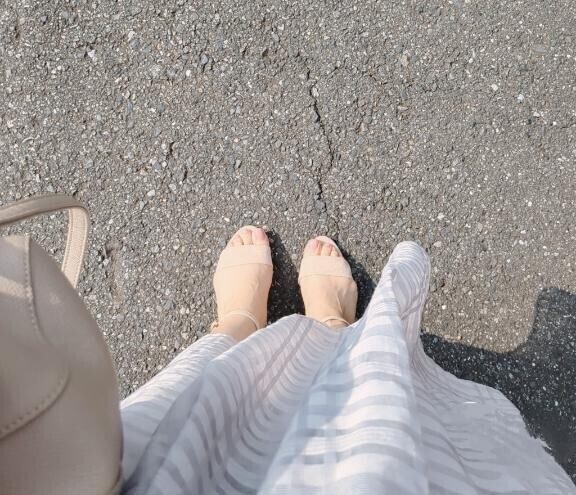 今日の