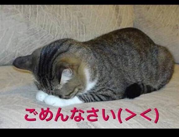 遅くなりましたが…