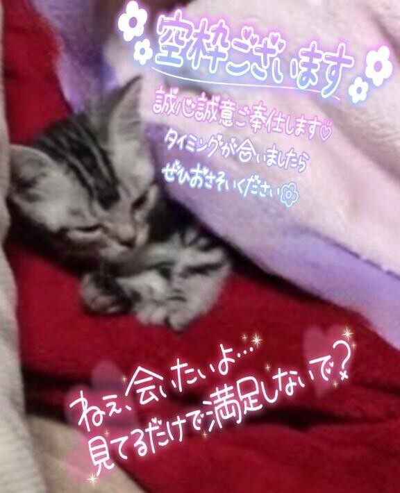 あやみ明日以降の?ご案内???