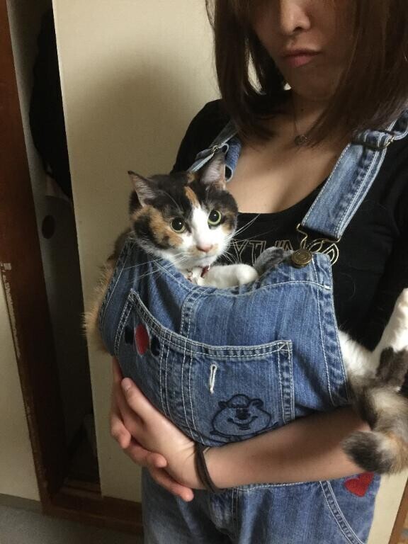 事後報告になるのかな？