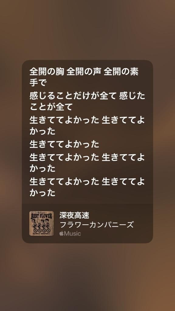 おやすみん