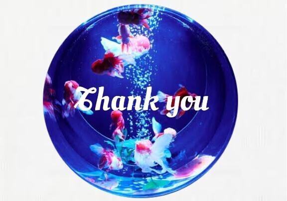 19日?thank you diary･:*?