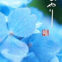 つぐみ